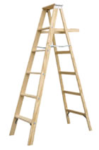 ladder